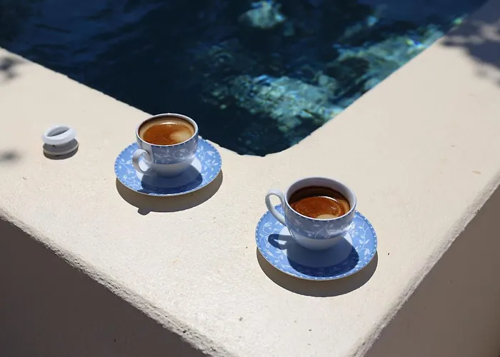 Dreamer's Secret Ii *