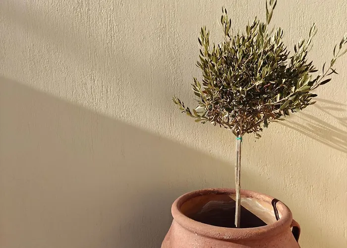 빌라 Dreamer's Secret Ii