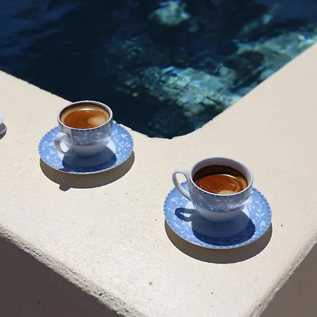 Dreamer's Secret Ii *