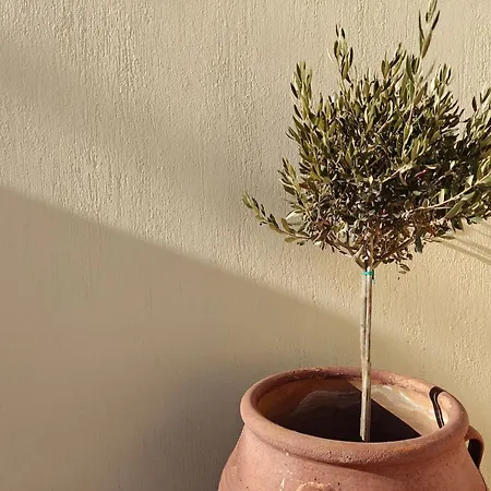 Villa Dreamer's Secret Ii